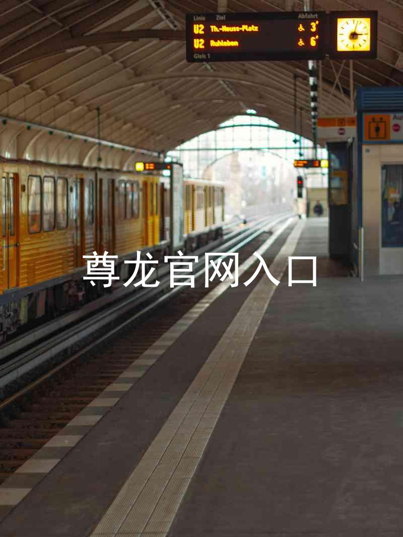 尊龙官网入口