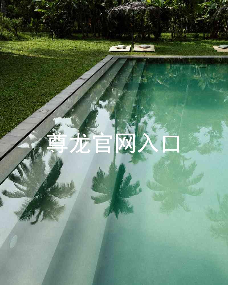 尊龙官网入口