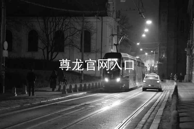 尊龙官网入口