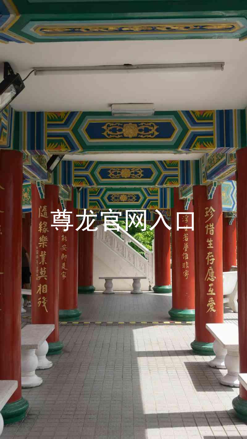 尊龙官网入口