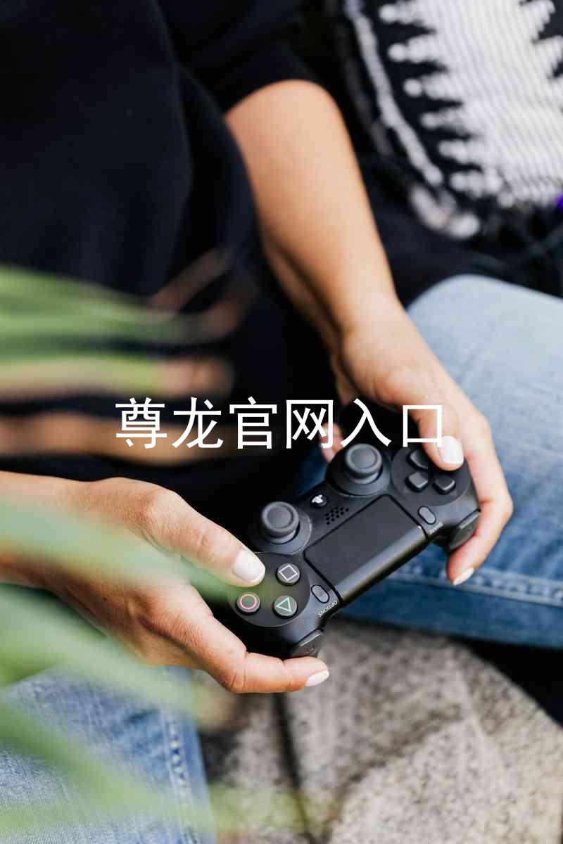 尊龙官网入口